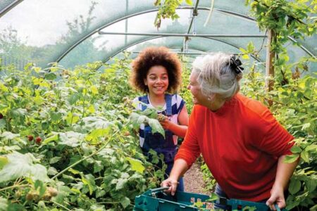 Future Farmers Face Investors for Farmland Image